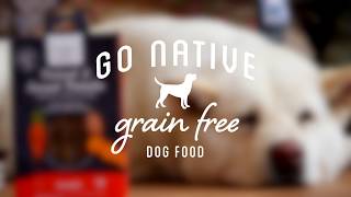 Go Native grain free dental super sticks for dogs [upl. by Lait]