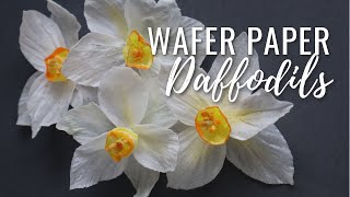 How to Make Wafer Paper Daffodils  free template download Wafer Paper Friday Ep 3 [upl. by Lorrad731]