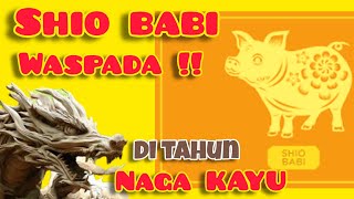 WASPADA   Shio BABI 2024  7 hal yg harus di waspadai di th Naga Kayu [upl. by Ecreip496]