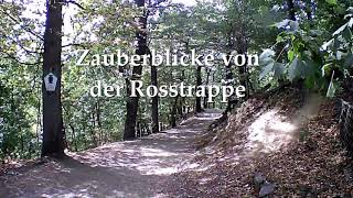 Zauberblicke von der Rosstrappe I Harz [upl. by Norrahs785]