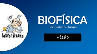 VISÃO Lentes  BIOFÍSICA [upl. by Gnuh242]