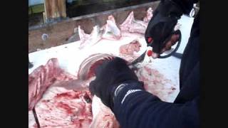 Black Buck Rock Fish Chop Prep How to Tip [upl. by Herrmann283]