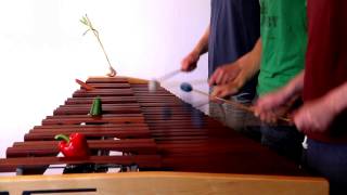 Zelda Twilight Princess  Hyrule Field on Marimba [upl. by Busby70]