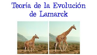 🦒 Teoría de la Evolución de Lamarck Lamarckismo  Transformismo 🦒 Fácil y Rápido  BIOLOGÍA [upl. by Ennovahs]