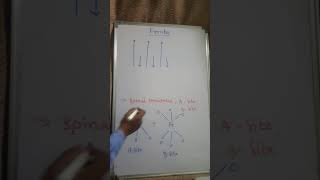 Ferrites or ferri magnetic materials [upl. by Landbert81]