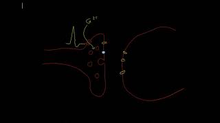 The monoamine theory of depression [upl. by Alekram116]