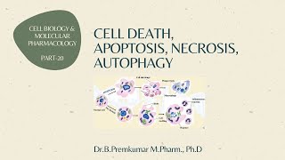 Cell death  Apoptosis Necrosis Autophagy  CBMP  Part20 [upl. by Ardnaet895]