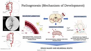 Acute Ischemic Stroke Pathophysiology [upl. by Ariada72]