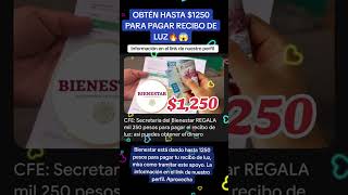 Obtén hasta 1250 para pagar tu recibo de CFE [upl. by Adal]