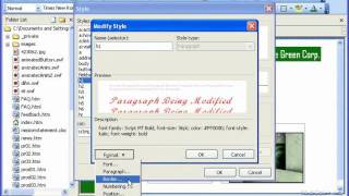 FrontPage Tutorial Creating a Style Sheet Microsoft Training Lesson 151 [upl. by Lalise]