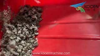 PE squeezer machine LDPE plastic film flakes squeezing machine [upl. by Htevi26]