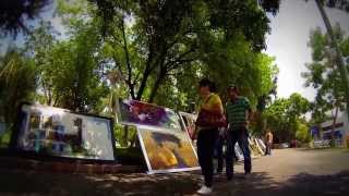 Un domingo de paseo por la Glorieta Chapalita [upl. by Min]