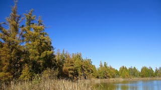 A Hidden Gem In Wisconsin  Bean Lake [upl. by Jerry]