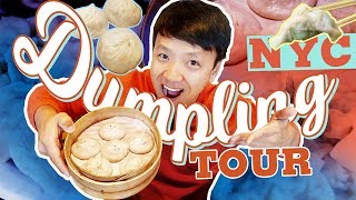 BEST DUMPLINGS in New York Dumpling Tour of New York City [upl. by Natsirk264]