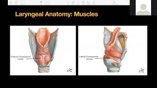 Flexible Laryngoscopy Basics [upl. by Broadbent]