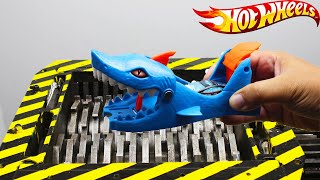 SHREDDING HOT WHEELS SHARK LAUNCHER [upl. by Pansie640]