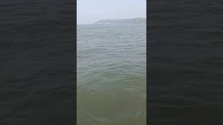 Miramar Beach Goa Dolphin Tour [upl. by Clova451]