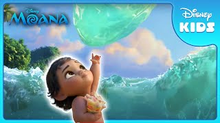 Baby Moana Explores the Ocean 🌊  Moana  Disney Kids [upl. by Carlile890]