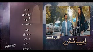 Zebaish  Episode 22  HUM TV  Drama [upl. by Adnic]