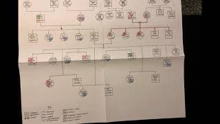 Genogram Presentation [upl. by Trisha]