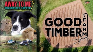 HUGE ANNOUNCEMENT  Welcome to Good Timber Farm [upl. by Heida]