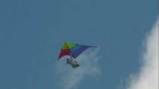 Kite Wing RC Airplane [upl. by Kopple]