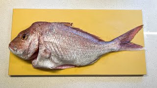 Catch and Fillet 60cm Snapper [upl. by Aremus]