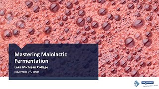 Mastering Malolactic Fermentation  Lake Michigan College Webinar [upl. by Iralav]