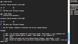 Demonstrating BeEFs Metasploit Plugin [upl. by Nosiddam984]
