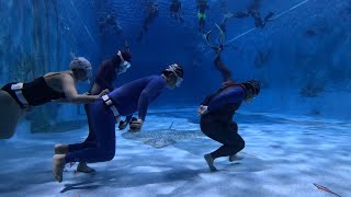 Apnea Walking Ghostfreediving finalcut [upl. by Aniaz]