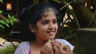 Aliyan vs Aliyan  Comedy Serial  ഒരു മുത്തശ്ശി കഥ  Amrita TV  EP 432 [upl. by Artkele695]