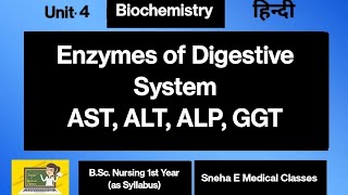 Enzymes of Digestive System AST ALT ALP GGT [upl. by Reyna470]