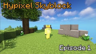 A New Beginning  Hypixel Skyblock Ep1 [upl. by Winthorpe989]