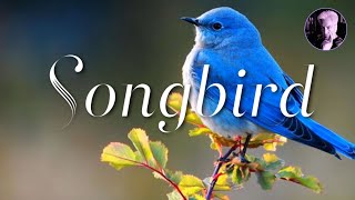 Songbird  Eva Cassidy Karaoke With vocals [upl. by Nguyen]