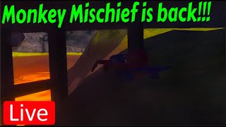 🟩Monkey Mischief  gorilla tag  LIVE🟩 [upl. by Lavine]