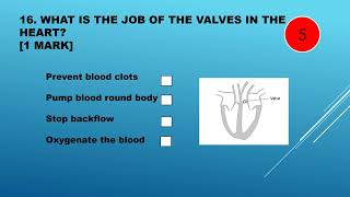 Self check quizHeart blood and blood vessels [upl. by Darell367]