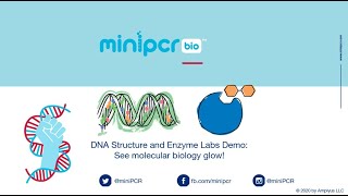 Live Demo P51 Glow Labs [upl. by Stephens402]