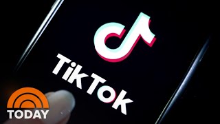 TikTok Could Be Banned In US Mike Pompeo Says  TODAY [upl. by Ydneh]