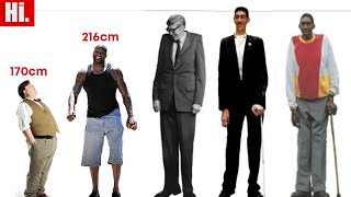 Tallest Man in History  The Verified List of 100 Tallest People in History [upl. by Madonna]