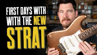 Mick’s New Strat – First Impressions Future Plans amp Fenders Golds [upl. by Trautman]