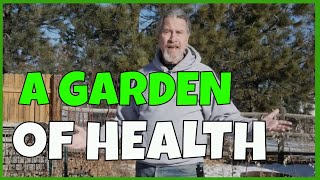 Start a Medicinal Herb Garden [upl. by Uria]