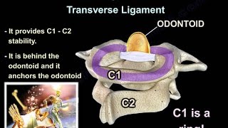 Cervical Spine Trauma  Everything You Need To Know  Dr Nabil Ebraheim [upl. by Nanor779]