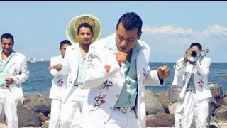 La radiante banda corazón  Mi perrito chokomil Video oficial [upl. by Enwad]