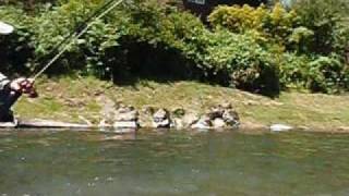 Kalama River WashingtonSummer Steelhead All Eyes on Me [upl. by Zahara]