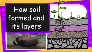 Science  Soil Formation and soil layers  English [upl. by Ahsenor]