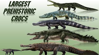 10 Biggest Prehistoric Crocodiles Ever Discovered 2021 [upl. by Aurita]