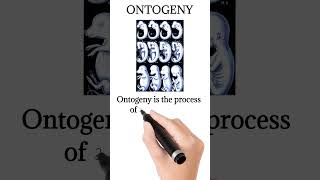 What is ontogeny [upl. by Airlie]