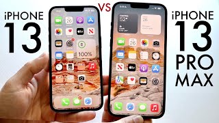 iPhone 13 Vs iPhone 13 Pro Max In 2023 Comparison Review [upl. by Rogers]