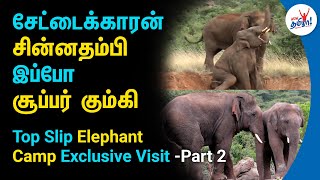 Elephant Whishpers வாழ்க்கை  Top Slip Elephant Camp Exclusive Visit  Kumki Elephant Story Part 2 [upl. by Elery]