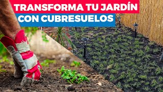 Cómo transformar tu jardín con cubresuelos [upl. by Tiedeman]